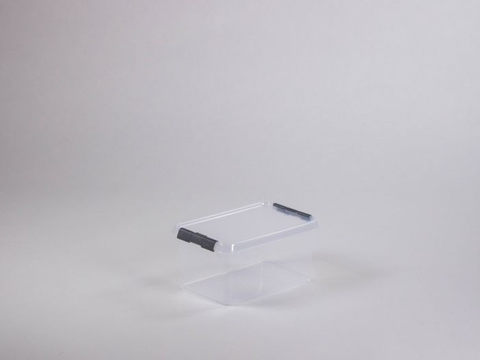 Caja de almacenage translúcido c tapa 6L