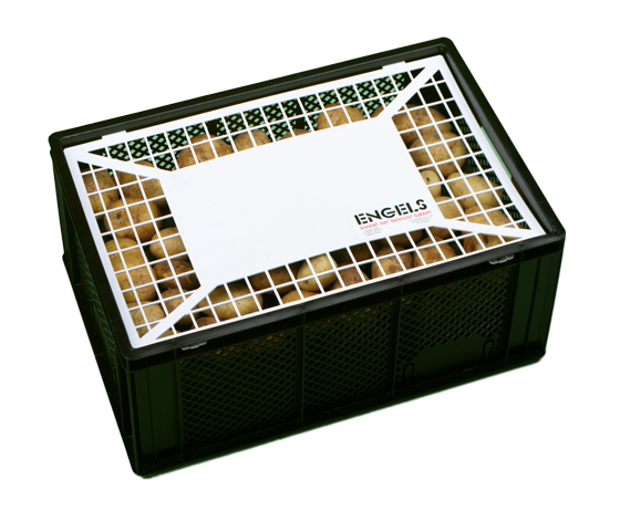 Caja para patatas